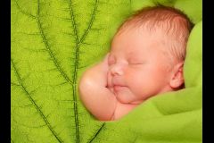 bigstock-Sleeping-Newborn-Baby-Boy-in-a-38609647